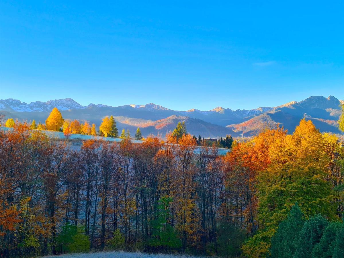 Apartamenty Skalna Chata Zakopane Luaran gambar