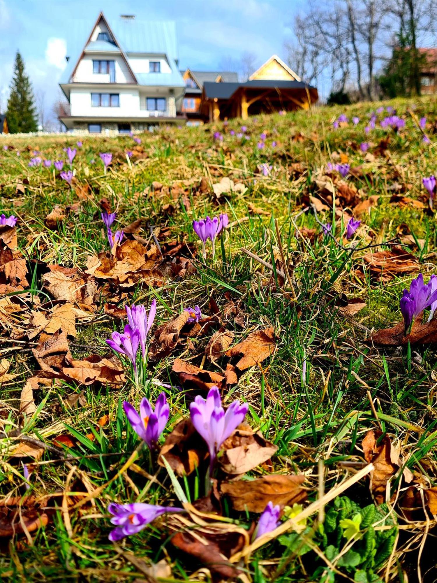 Apartamenty Skalna Chata Zakopane Luaran gambar